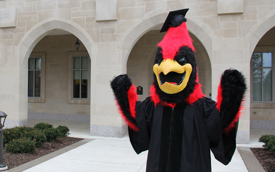 Cardinal mascot with commencement regalia.